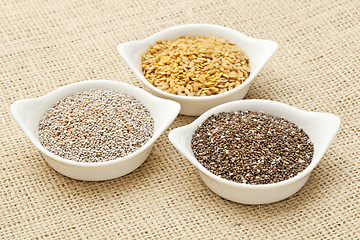 Image showing chia and flax seed