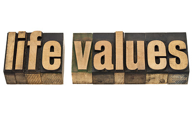 Image showing life values in wood type