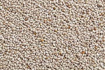 Image showing white chia seeds background