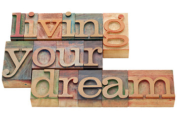 Image showing living your dream in wood type