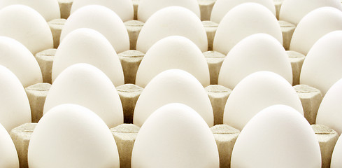 Image showing Chicken egg background