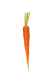 Image showing carrots