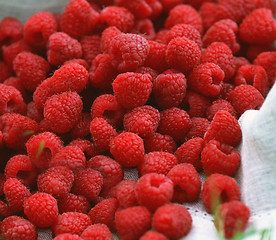 Image showing A beautiful selection of freshly picked ripe red raspberries