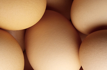 Image showing Chicken eggs