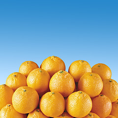 Image showing fresh orange tangerines with blue sky