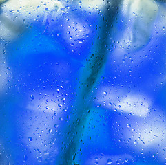 Image showing Background of blue ice cubes