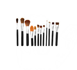 Image showing Professional make-up tools