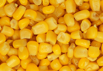Image showing image of corn background