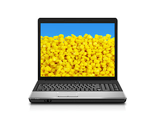 Image showing laptop computer with corn