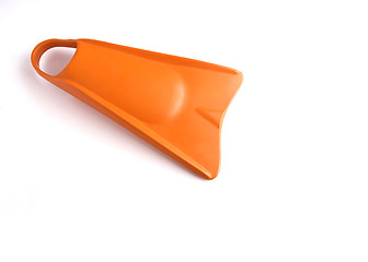 Image showing Orange Duck feet
