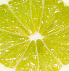 Image showing lime macro