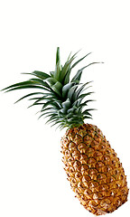 Image showing Pineapple isolated