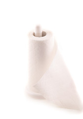 Image showing hand paper towels roll