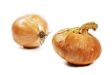 Image showing Onion on white background