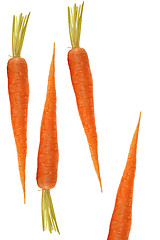 Image showing Carrot isolated on a white background