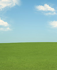 Image showing green field and blue sky