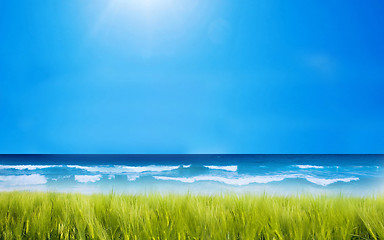 Image showing Caribbean sea and field of green grass