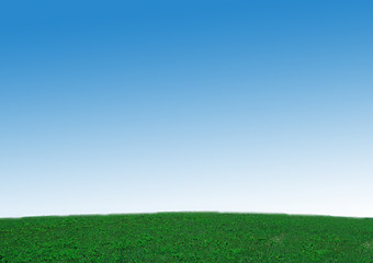 Image showing fresh green grass with bright blue sky