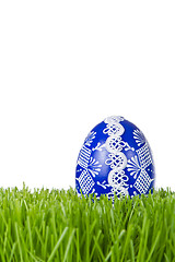 Image showing easter egg in grass