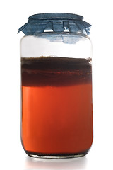 Image showing Kombucha