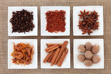 Image showing Spice Sampler