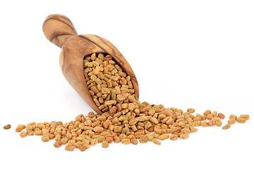 Image showing Fenugreek Seed