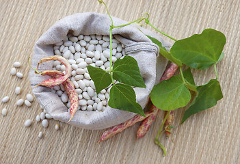 Image showing Beans in  the sack