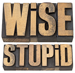 Image showing wise and stupid in letterpress wood type