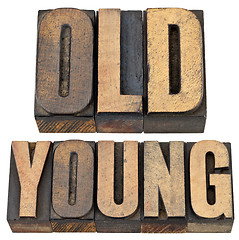 Image showing old and young in letterpress wood type
