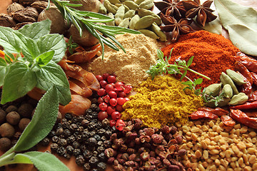 Image showing Spices and herbs