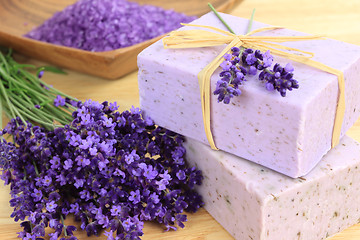 Image showing Lavender