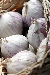 Image showing fresh garlic bulbs