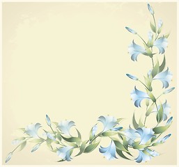 Image showing Greeting card with a lily. Lily illustration.  Decorative framework with a lily.