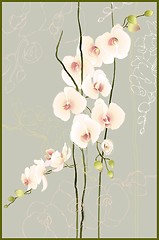 Image showing Greeting card with orchid. Illustration orhid.