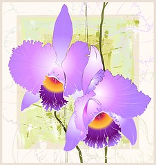 Image showing Greeting card with orchid. Illustration orhid.