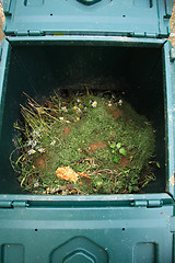 Image showing Open composter bin