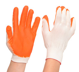 Image showing gloves