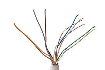 Image showing Colorful Cable