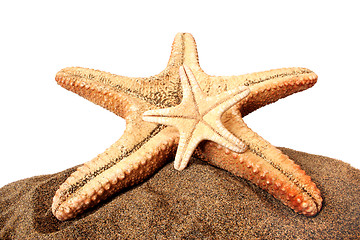 Image showing Starfish and Sand