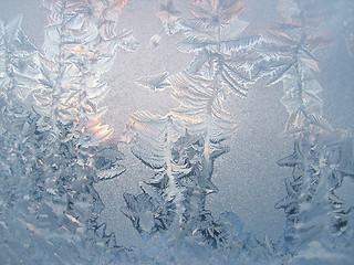 Image showing ice pattern