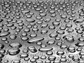 Image showing Waterdrops