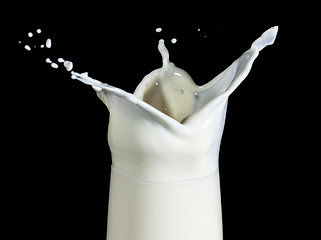 Image showing Milk with Splash in Glass, on black background