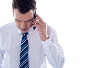 Image showing Business professional communicating on phone