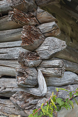 Image showing Corner of an old log house.