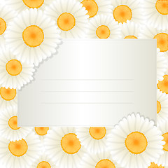 Image showing Oxeye daisy text card