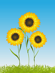 Image showing Summer card with sunflowers