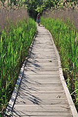 Image showing Wooden footpath