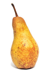 Image showing Pear fruit