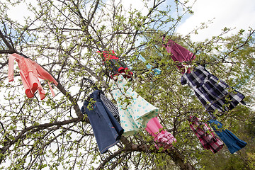 Image showing tree of dresses