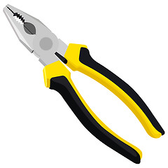 Image showing Instrumment pliers 